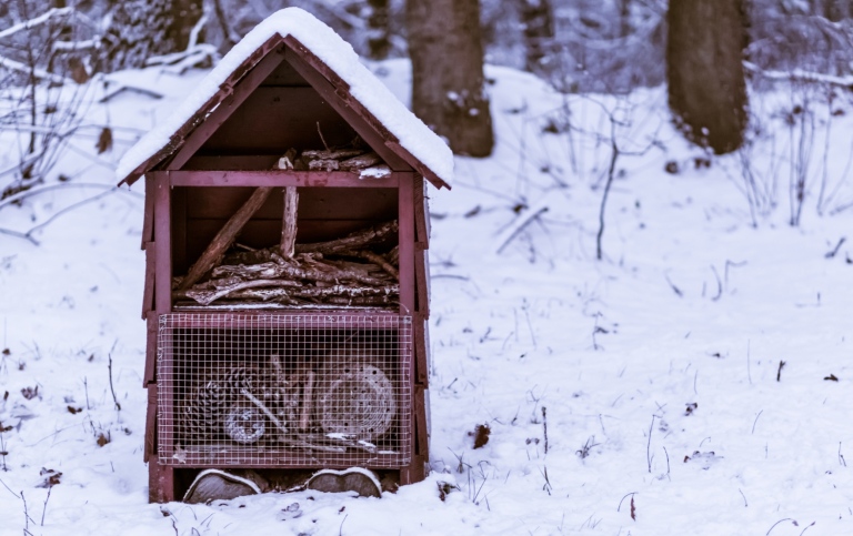 Insect house in a winter landscape